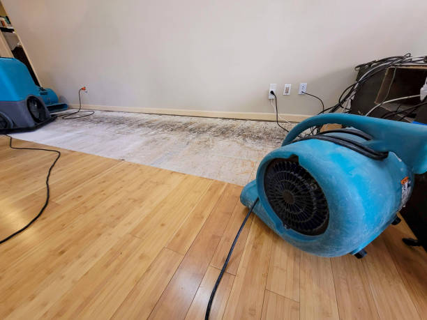 Professional Water Damage Repair technician working in Miramonte, CA